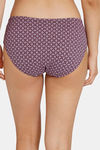 Zivame Anti-Microbial Low Rise Full Coverage Hipster Panty (Pack of 2) - Multicolor — thumbnail 4